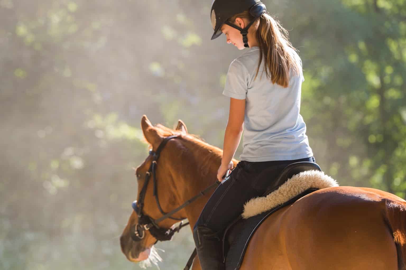 Reiten lernen: 8 Gründe für den Pferdesport & 10 Tipps für Anfänger